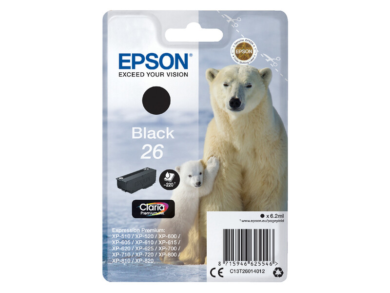 Inktcartridge Epson 26 T2601 zwart 1