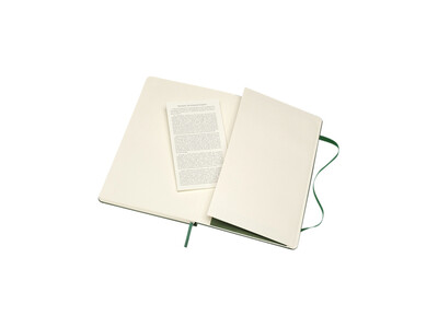Notitieboek Moleskine large 130x210mm blanco hard cover myrtle green 5
