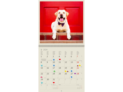 Kalender 2024 Helma 365 30x30cm honden 2